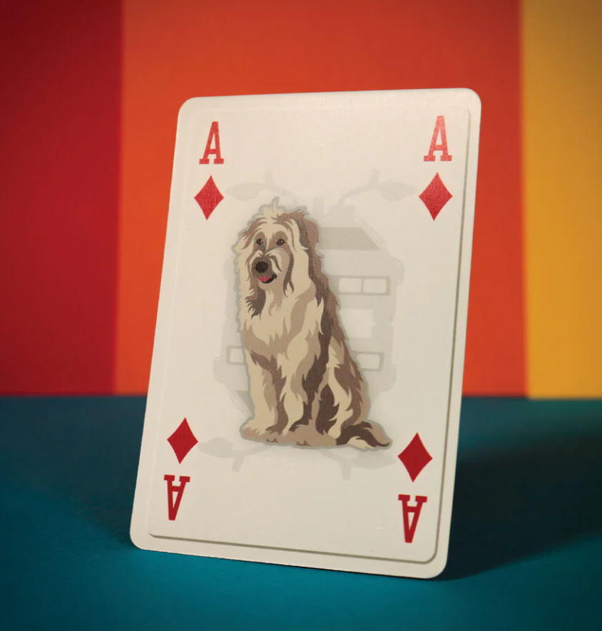 Back To The Future Playing Cards 54 Card Deck