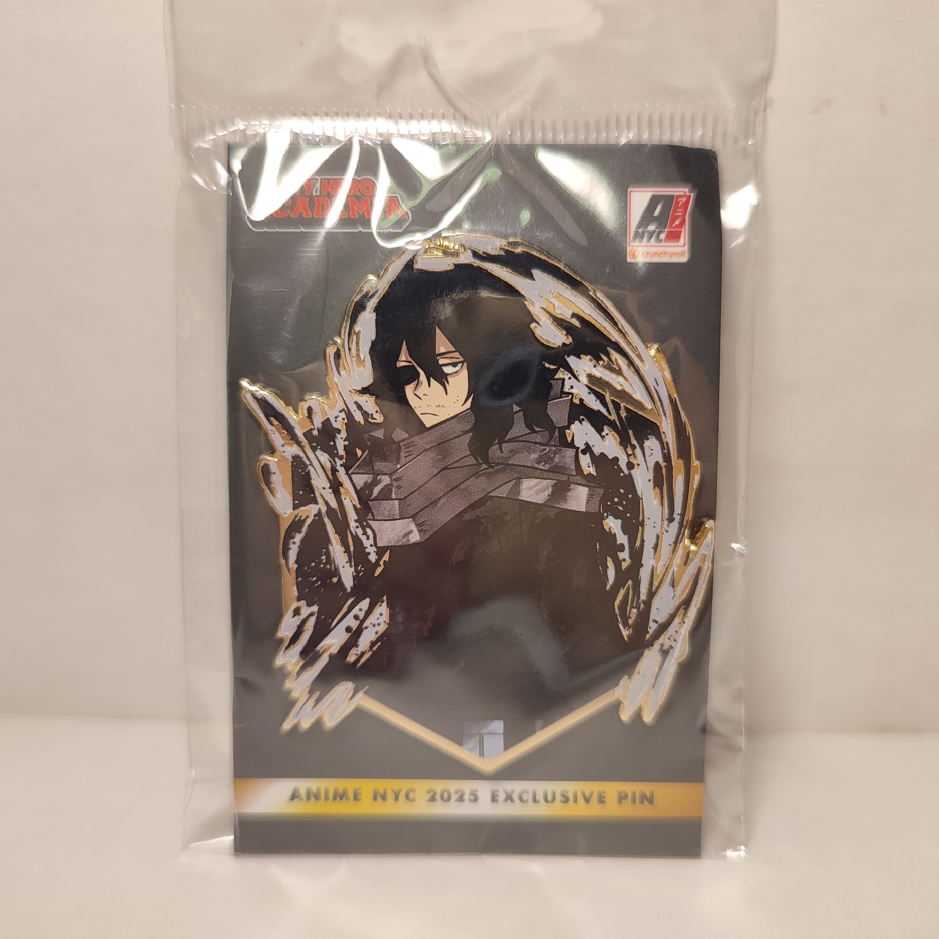 My Hero Academia - Shota Aizawa Painterly Series Pin