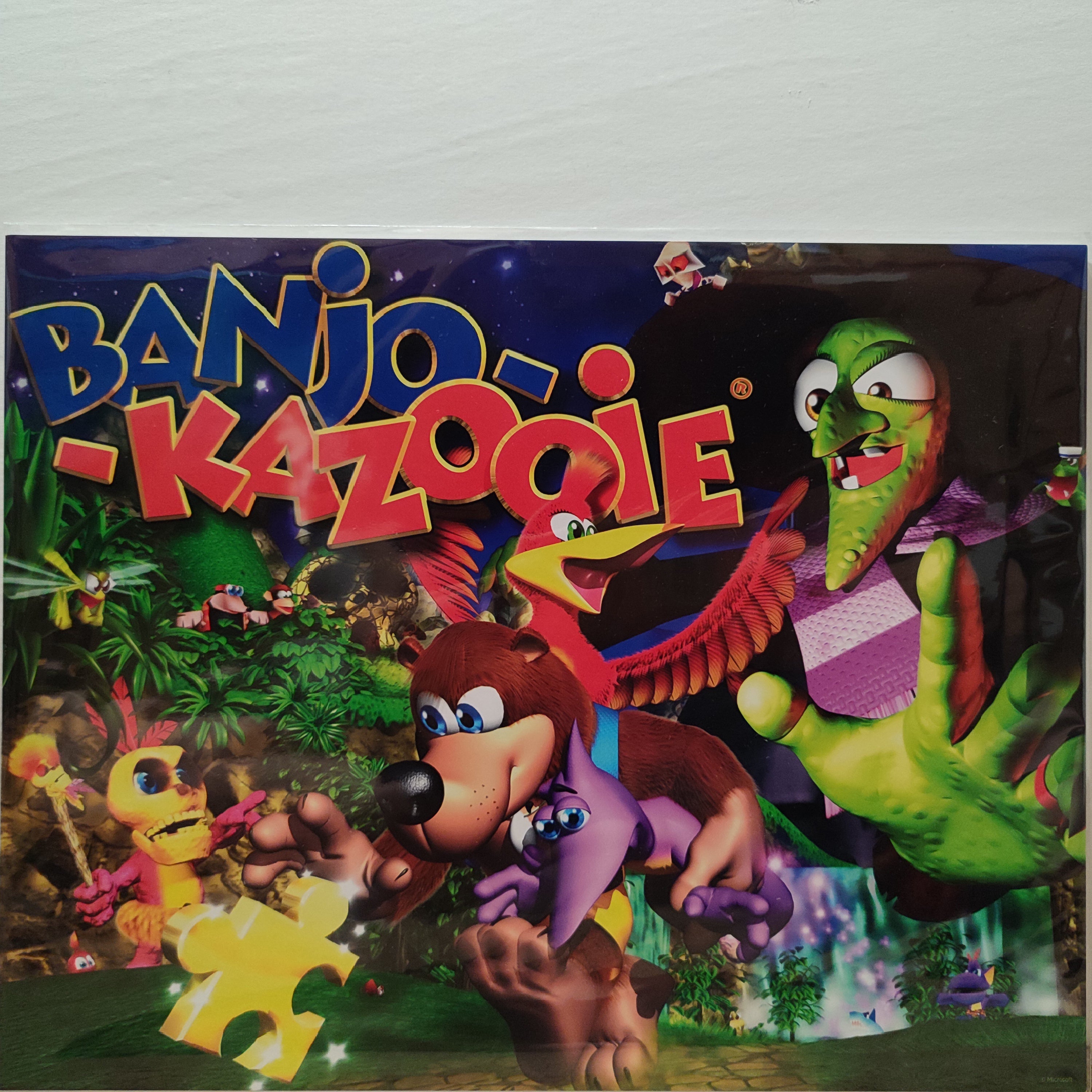 Banjo Kazooie - Limited Edition Art Print