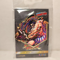 Street Fighter - E Honda Painterly Series Pin
