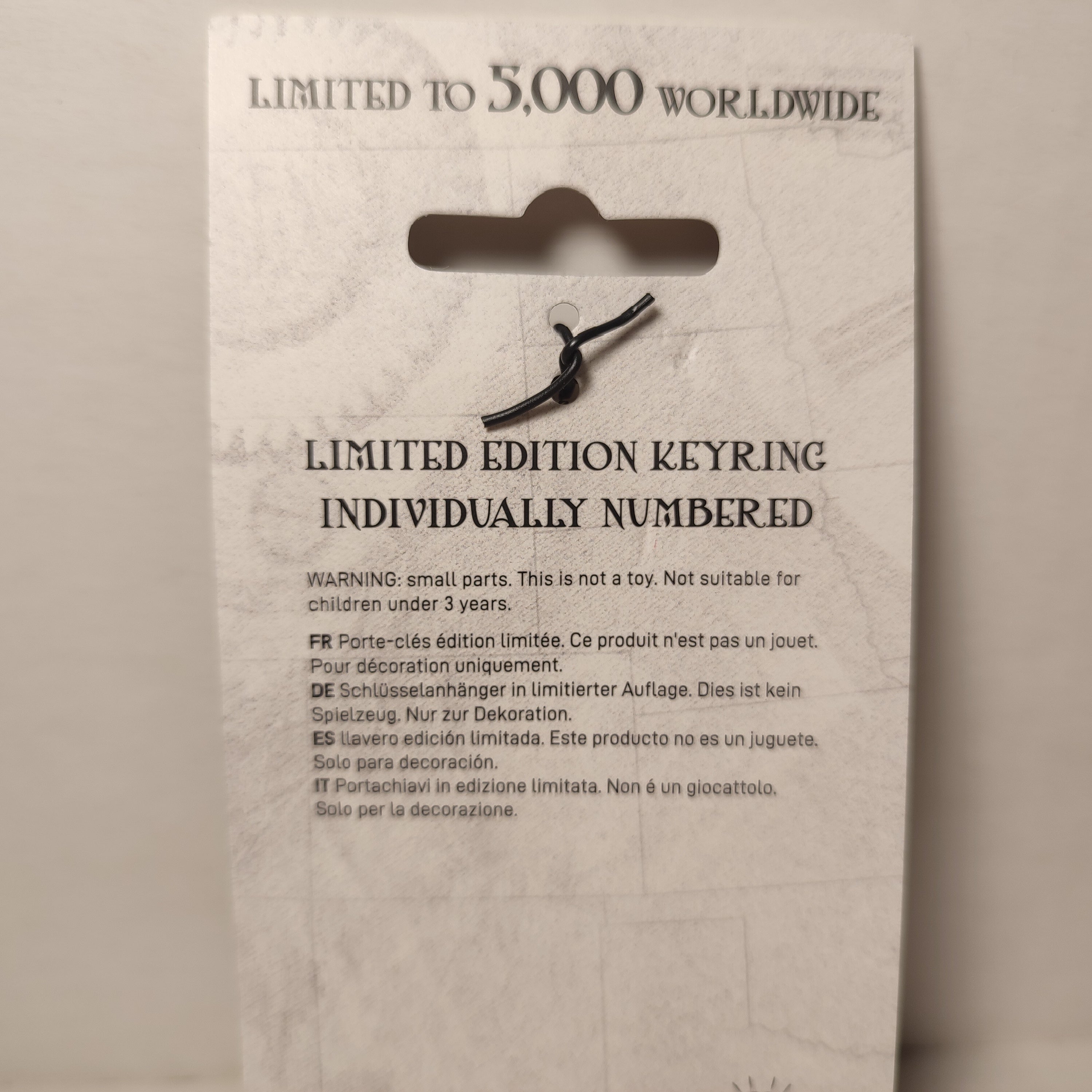 Ticket To Ride - Limited Edition Keychain